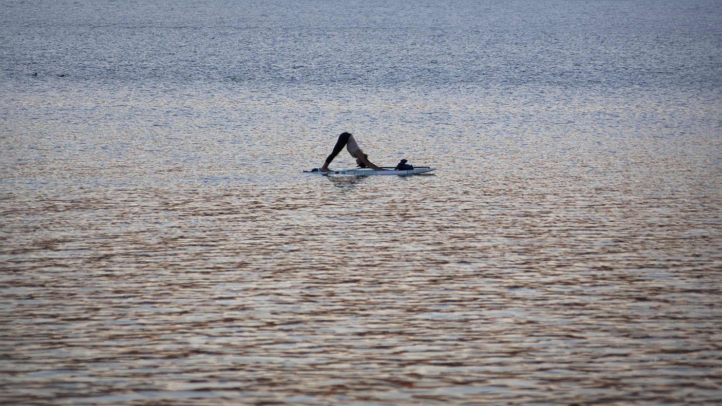 Tomales Bay paddleboarding at sunset.